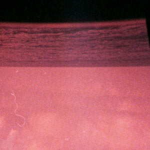 7inch – ELLA ONLINE