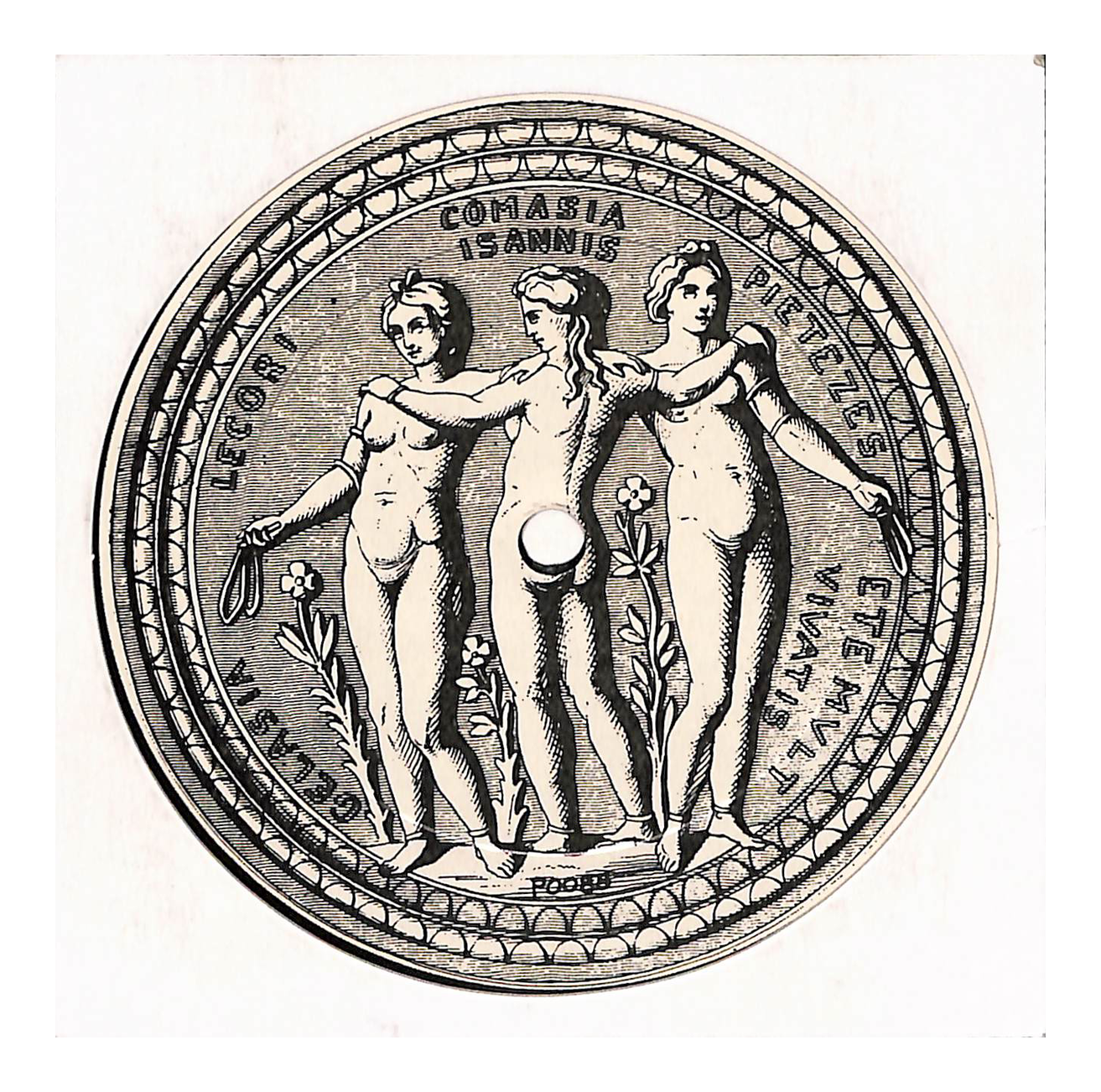 Solo Violin Improvisations