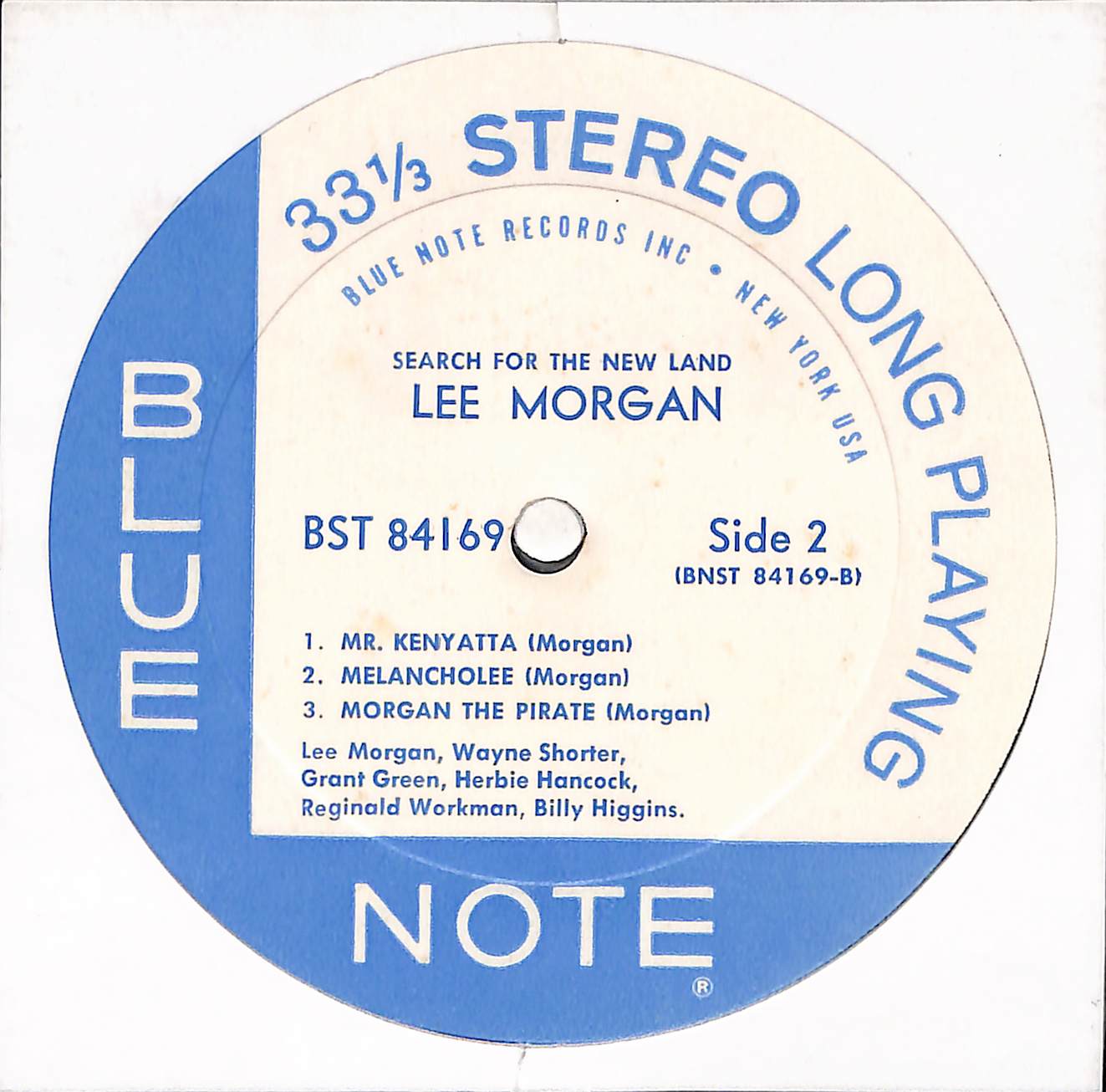 Search For The New Land