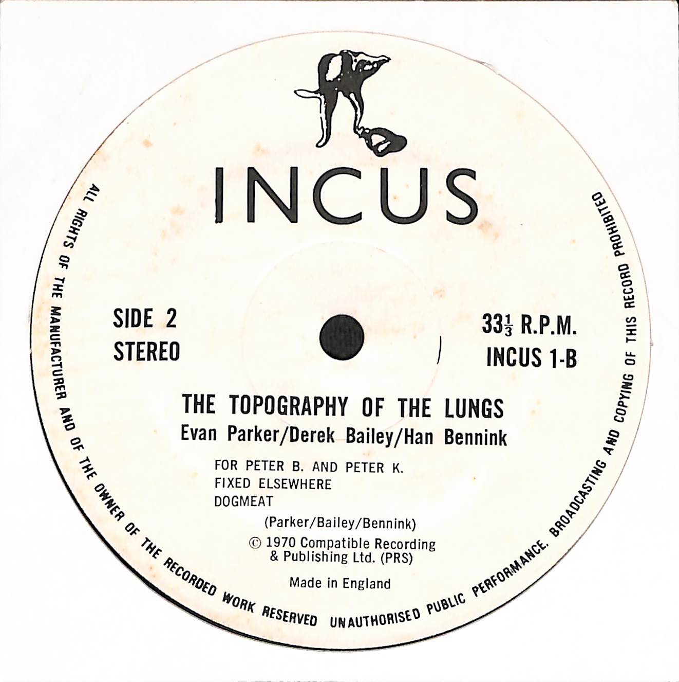 The Topography Of The Lungs