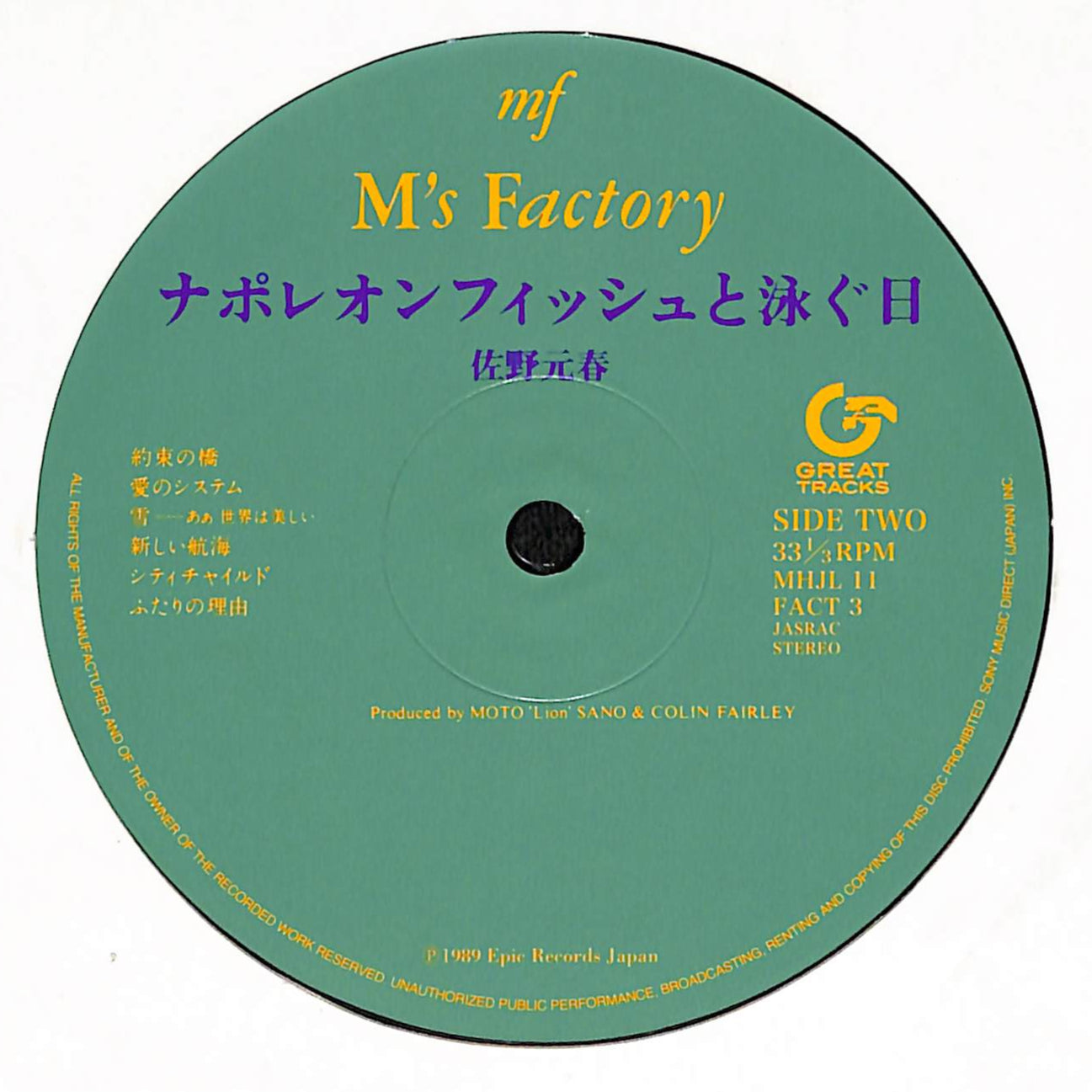 ナポレオンフィッシュと泳ぐ日