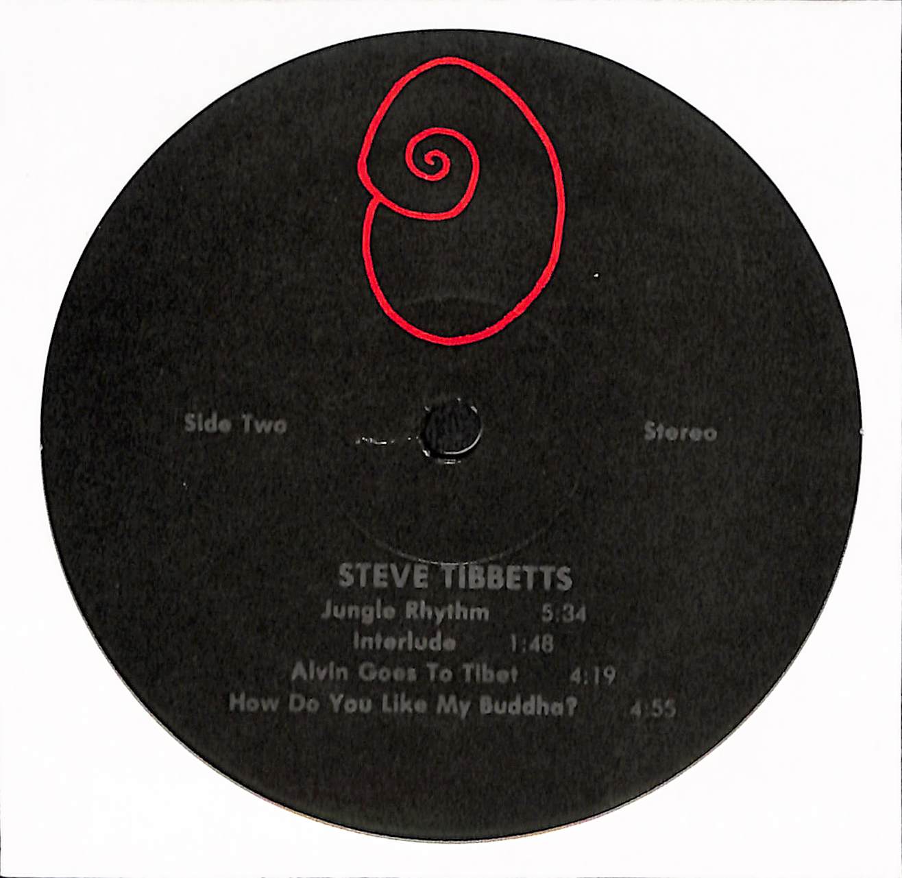 Steve Tibbetts
