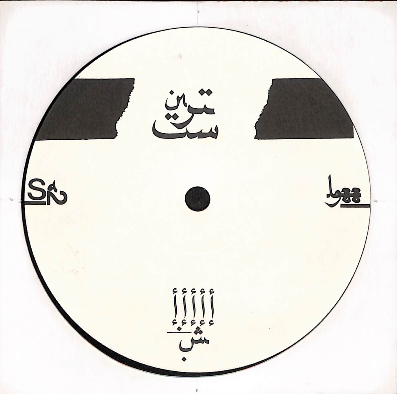 The Rape Of Palestine