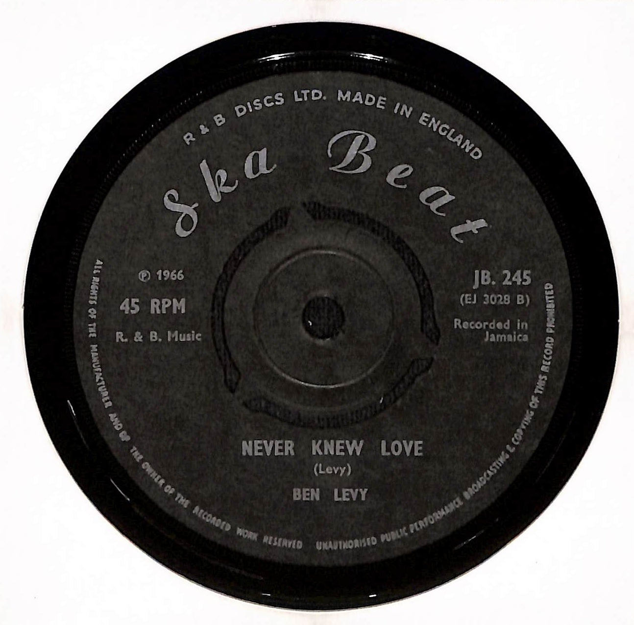 Doreen / Never Knew Love