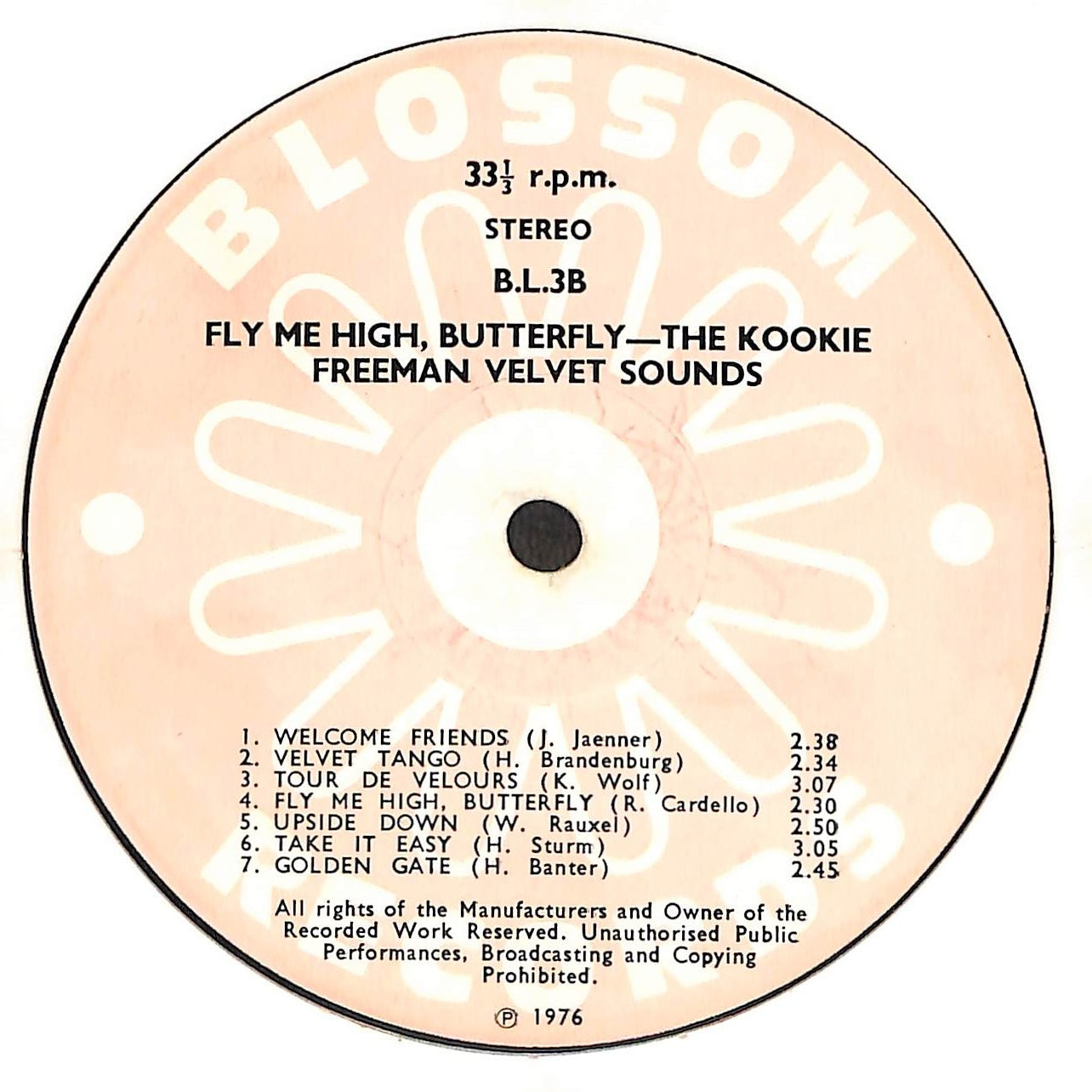 Fly Me High Butterfly