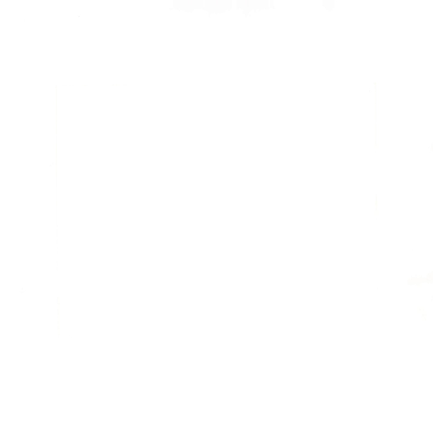 Script Of The Bridge