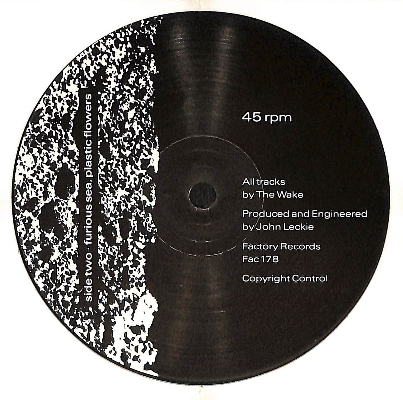 Something That No One Else Could Bring