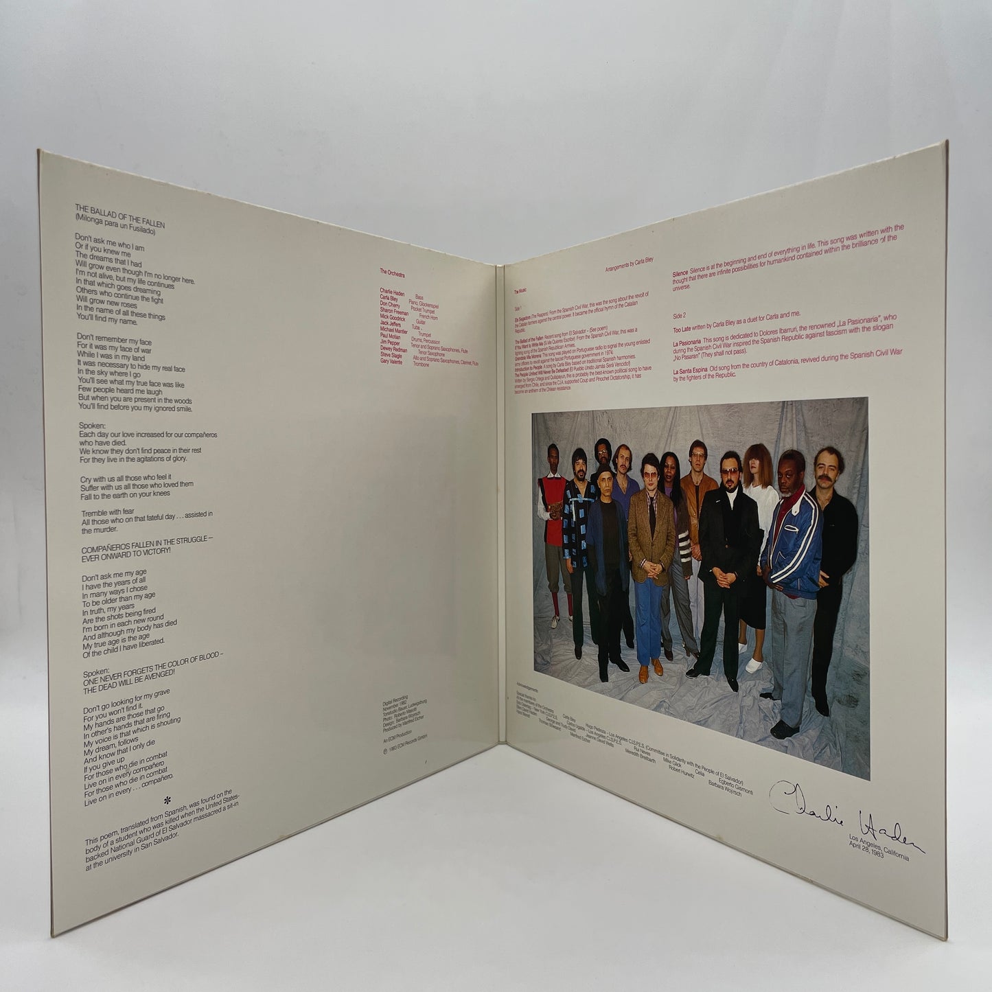 The Ballad Of The Fallen