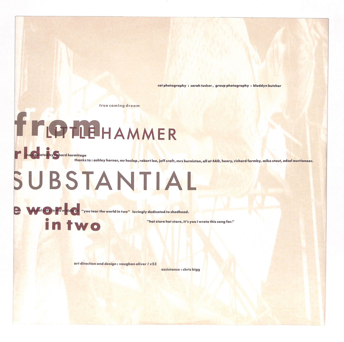 The Comforts Of Madness