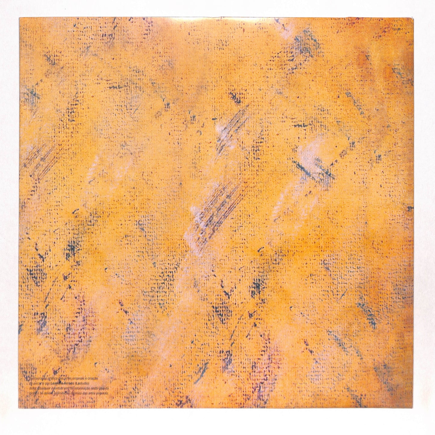 Orquestra Afro-Brasileira