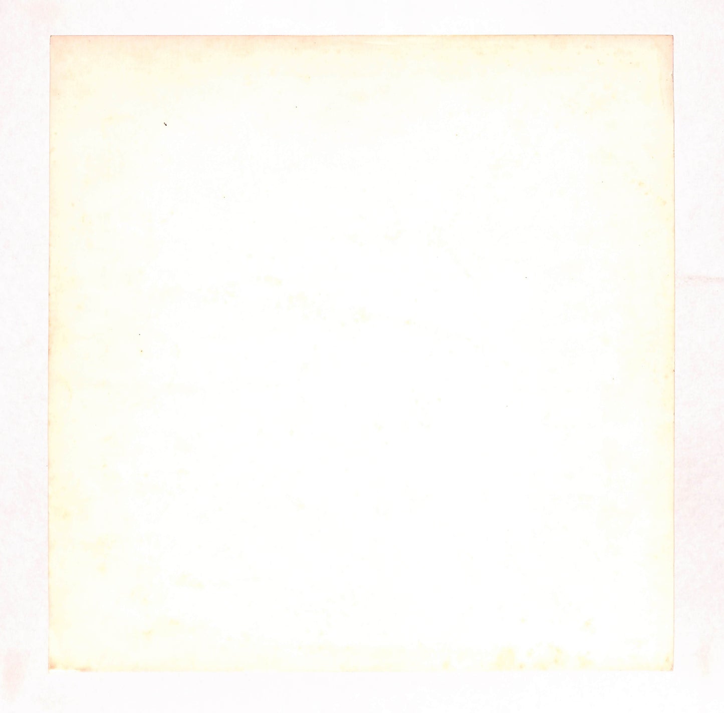 Luz