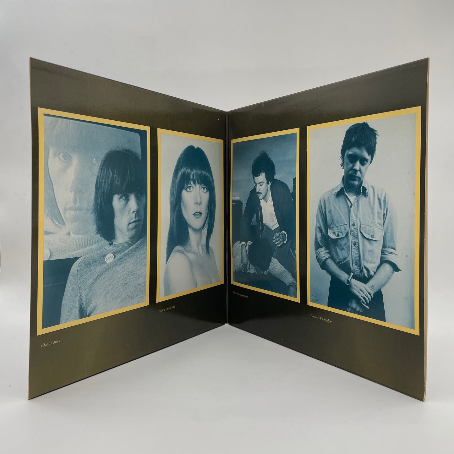 Heathen Earth