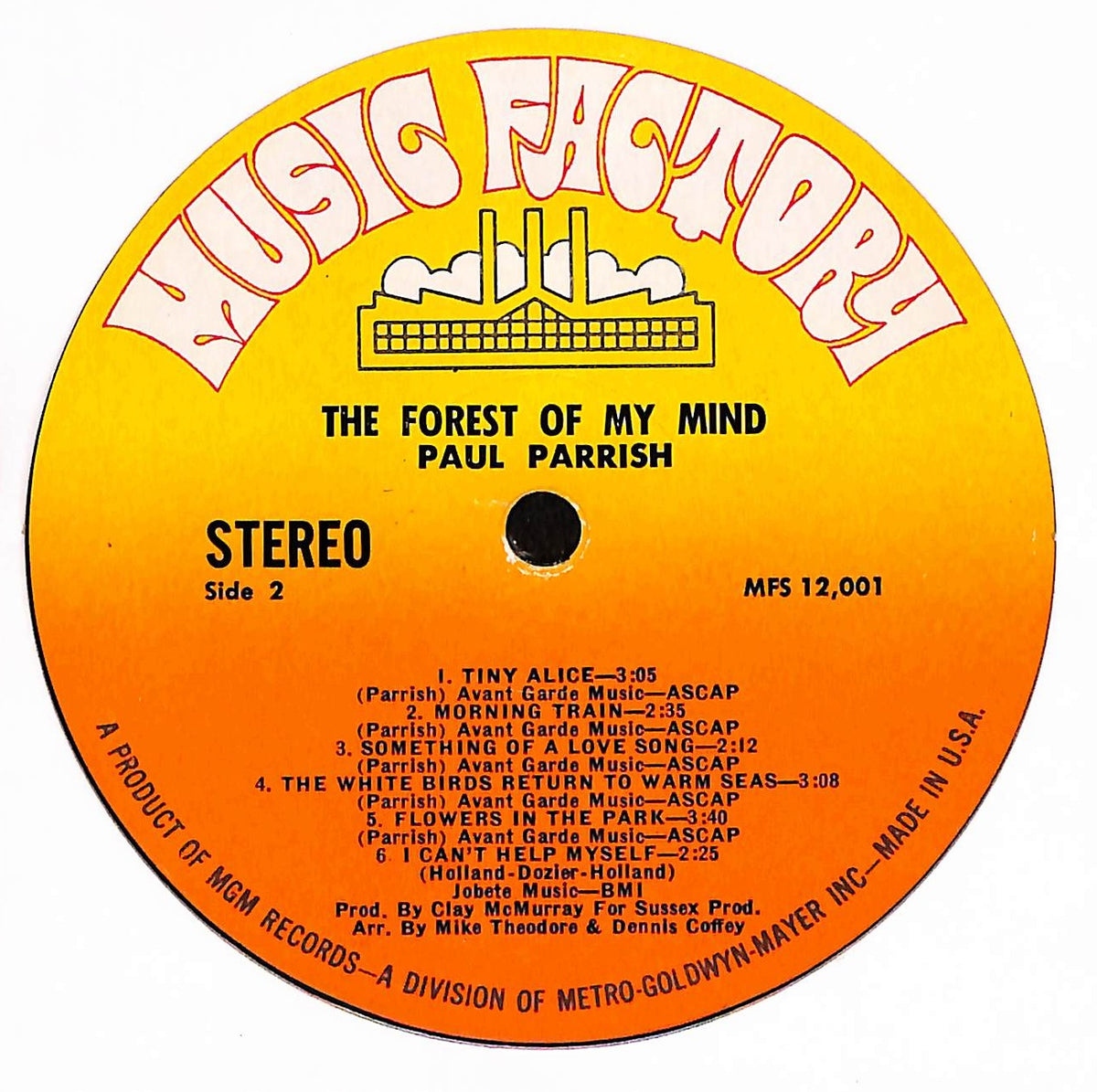 The Forest Of My Mind