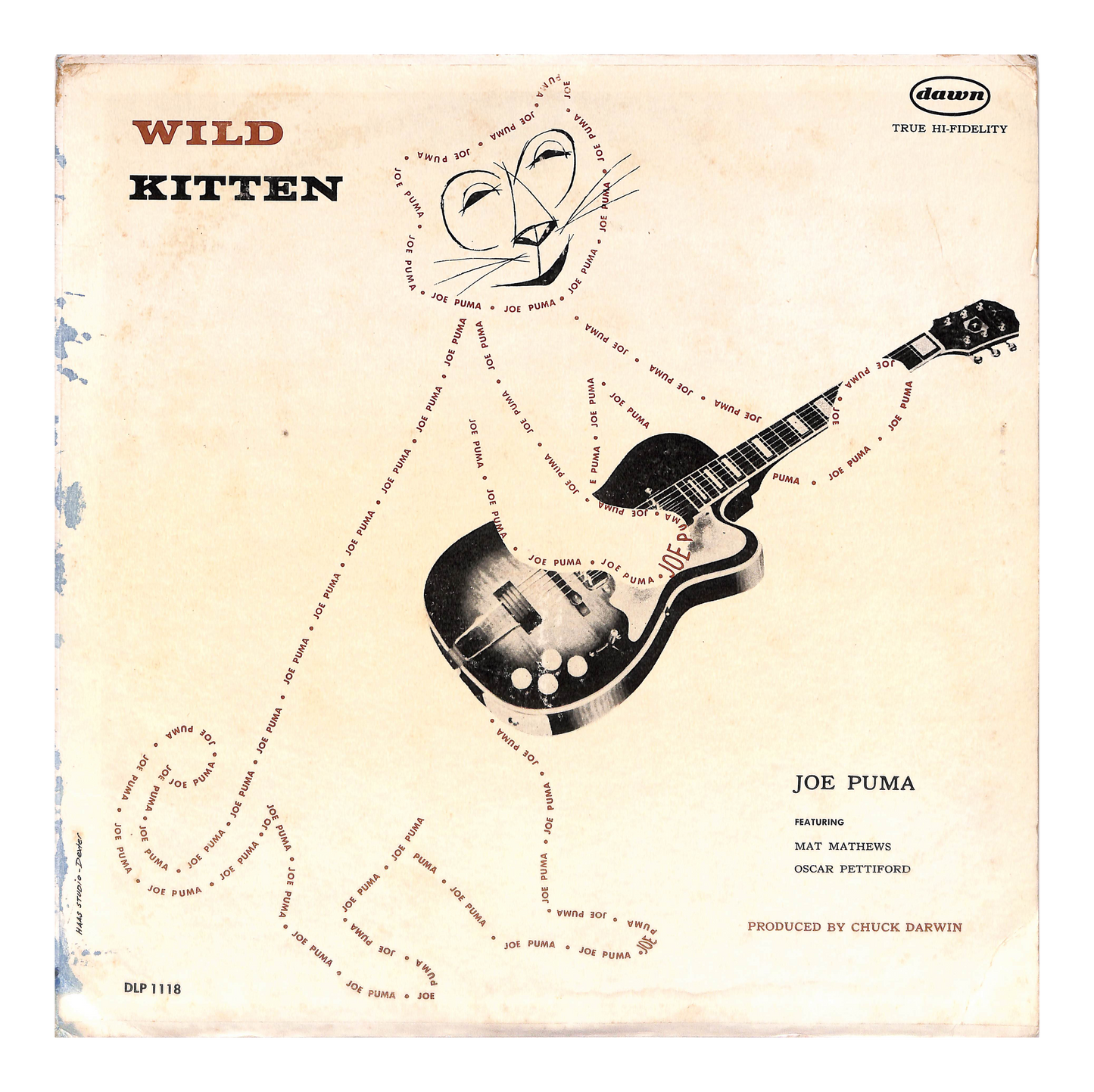 Wild Kitten