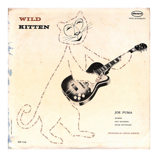 Wild Kitten