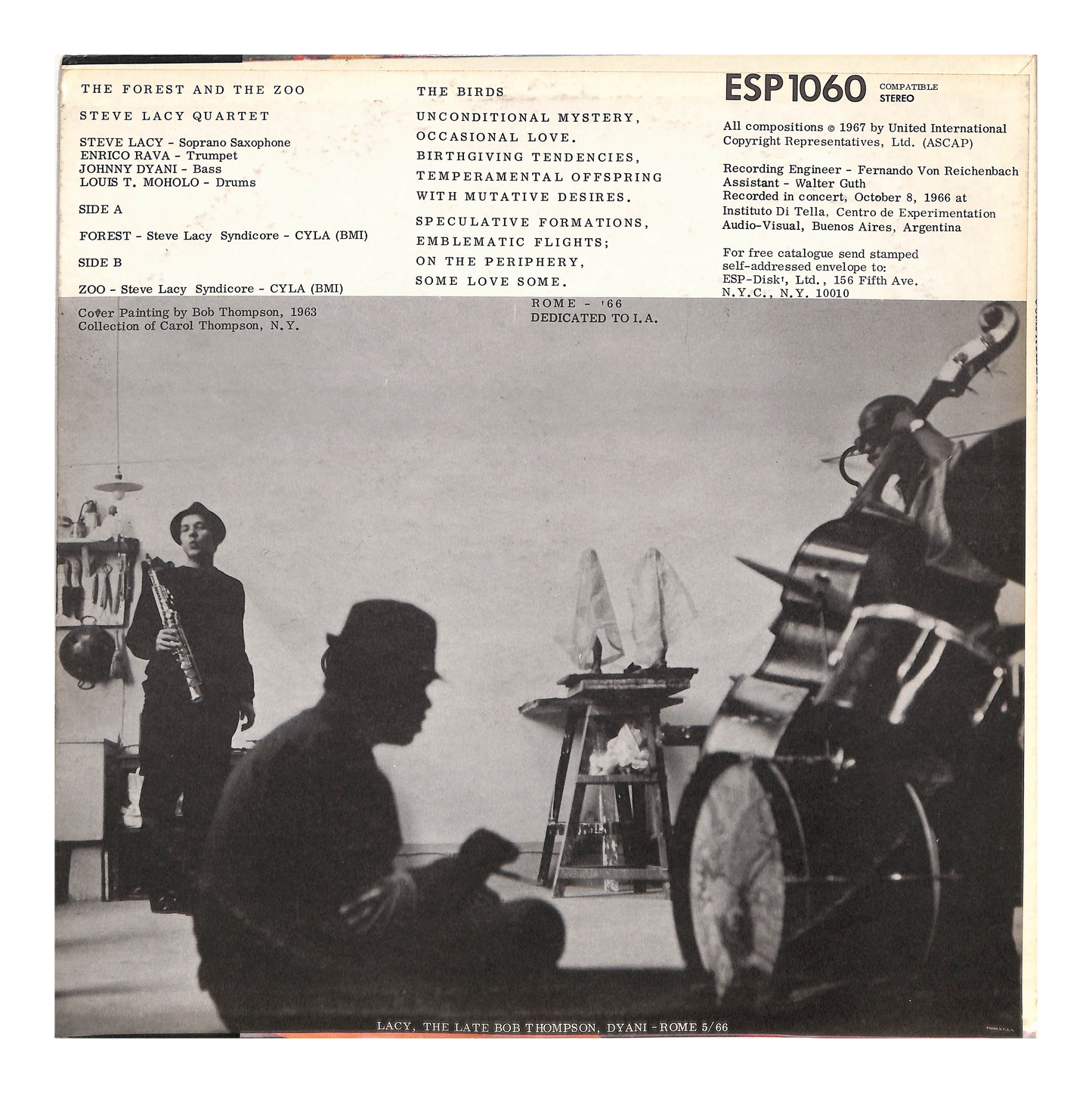 The Forest And The Zoo