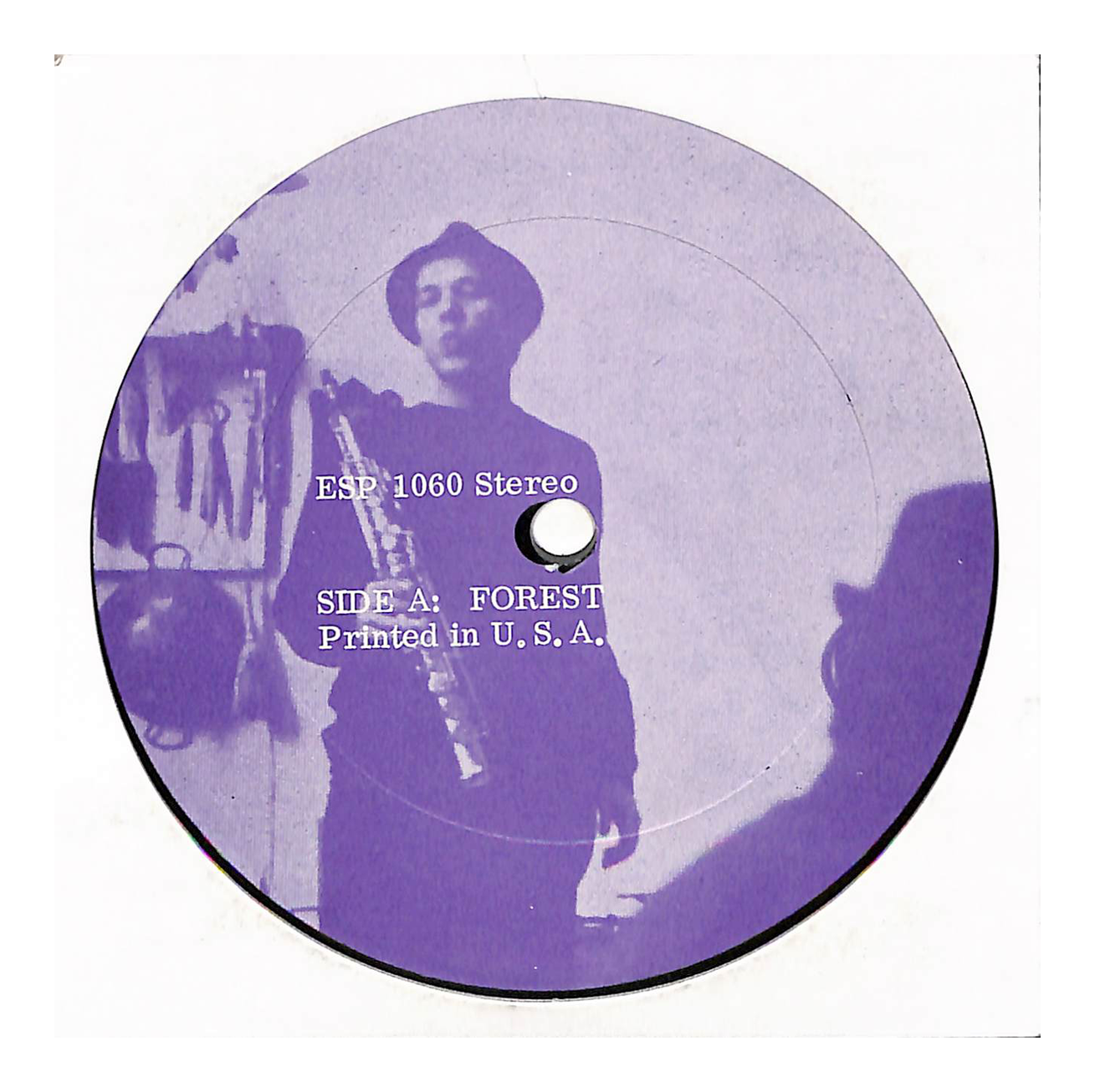 The Forest And The Zoo