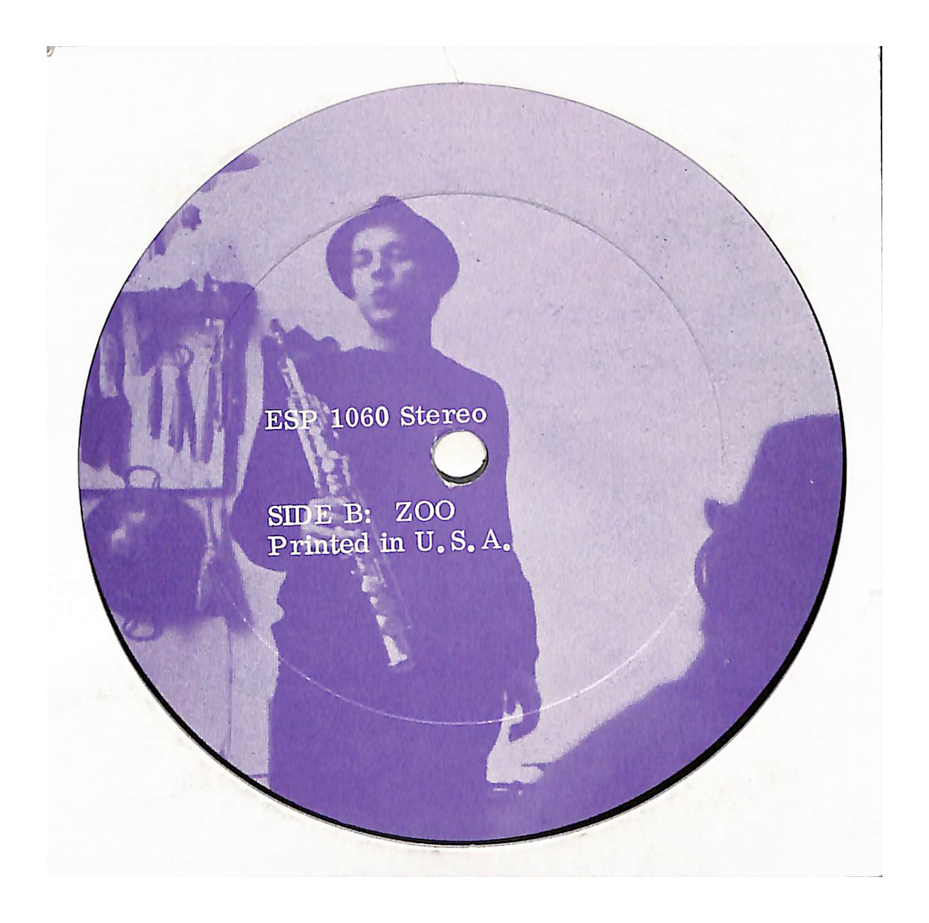 The Forest And The Zoo