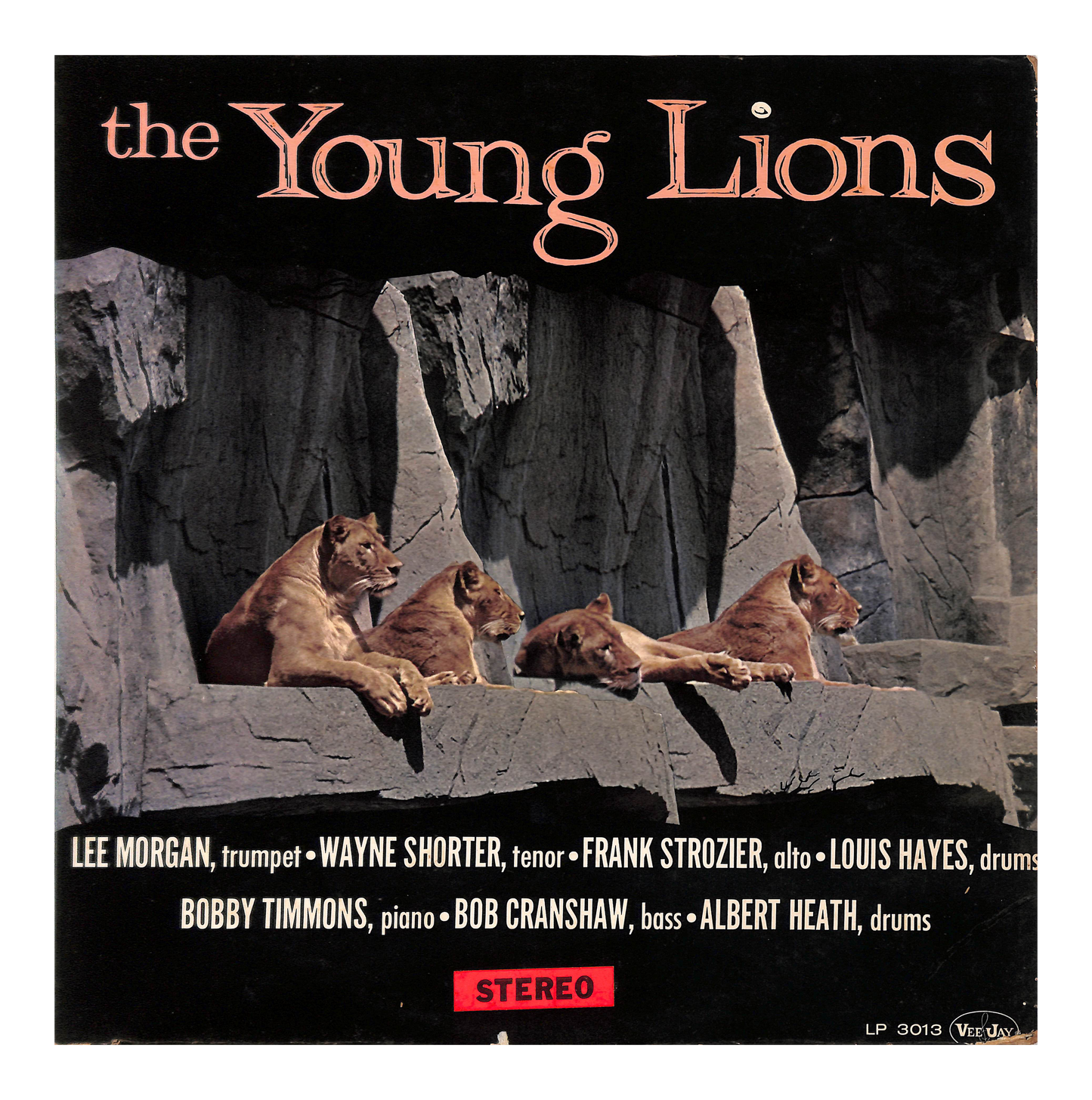 The Young Lions