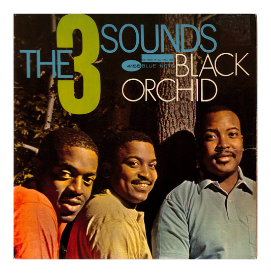Black Orchid