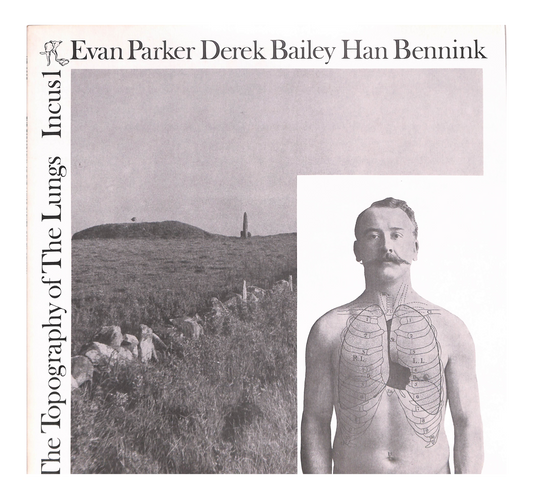 The Topography Of The Lungs