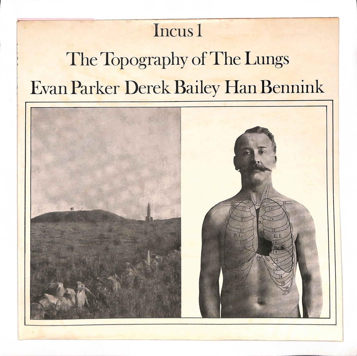 The Topography Of The Lungs