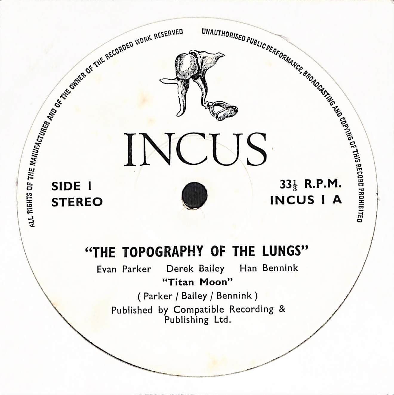 The Topography Of The Lungs