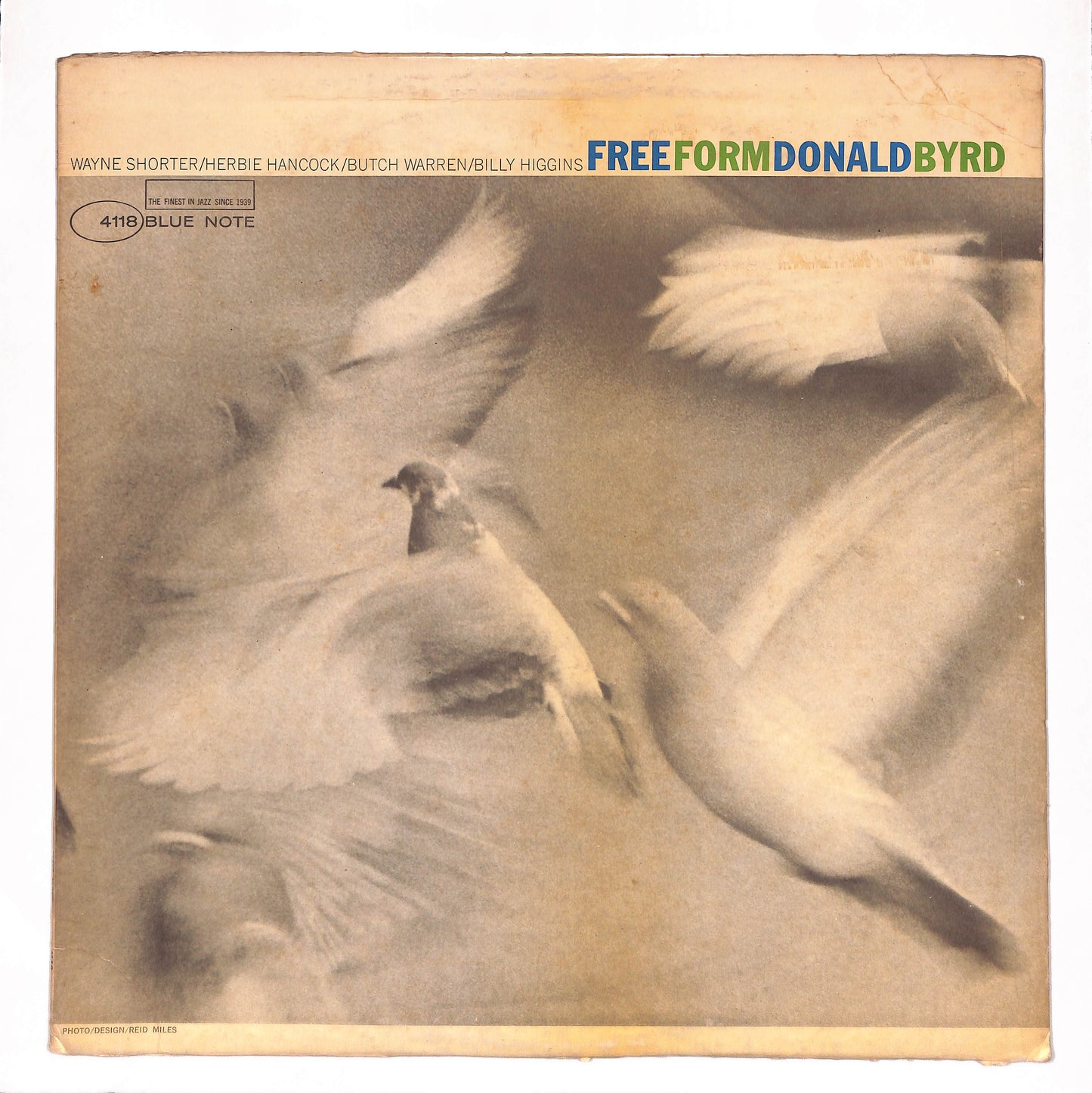 Free Form