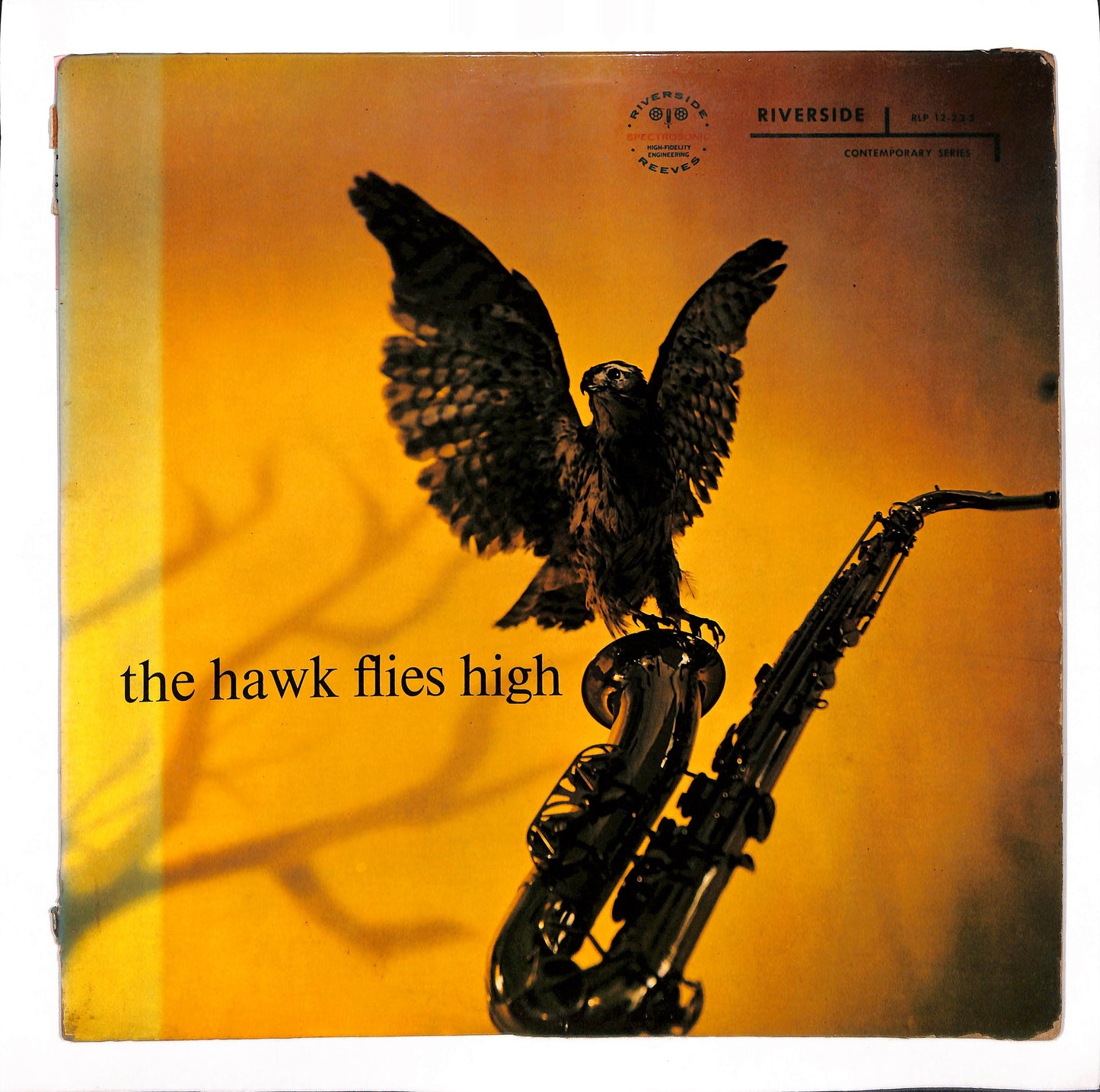 The Hawk Flies High