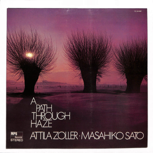 A Path Through Haze