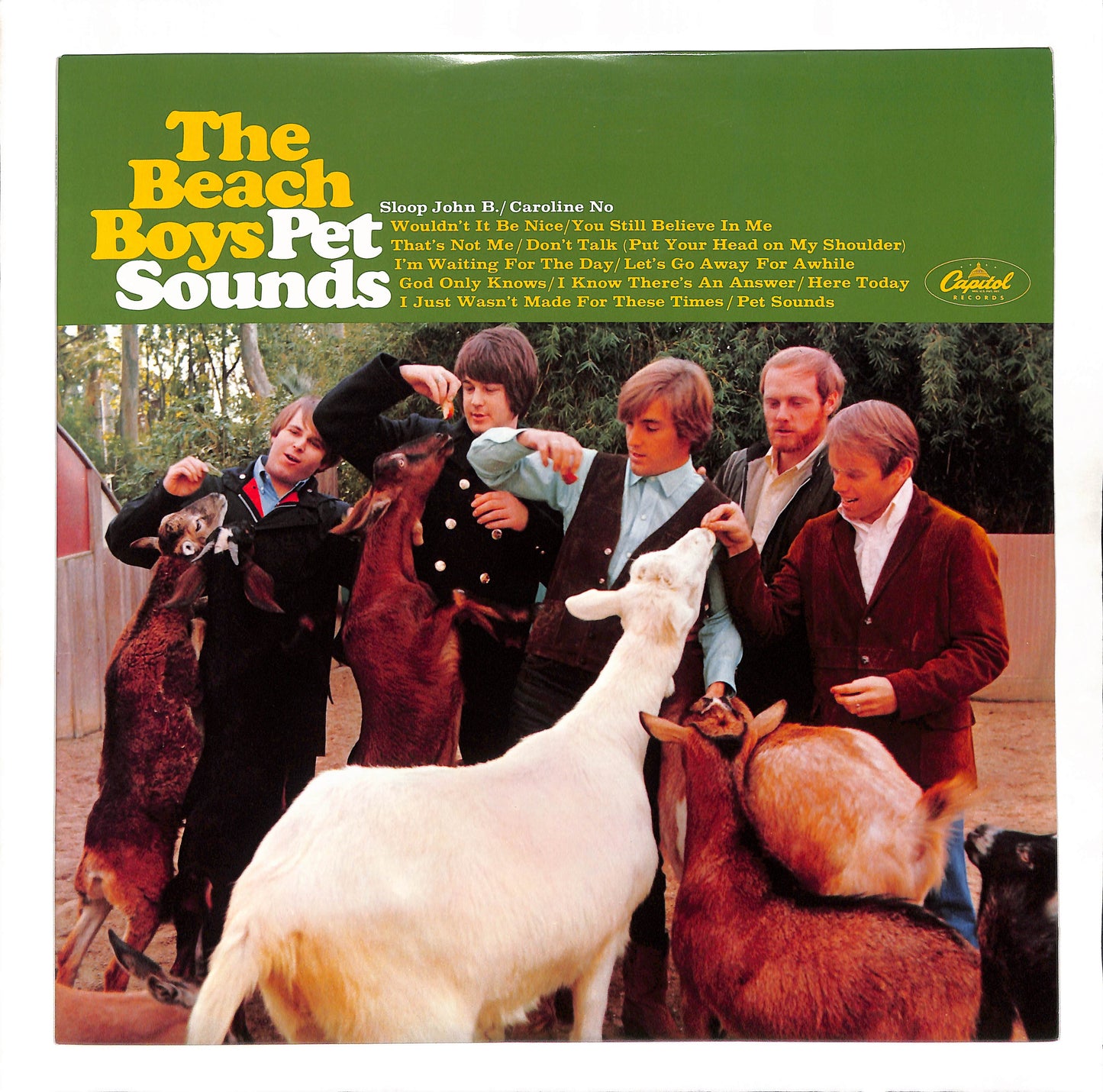 Pet Sounds