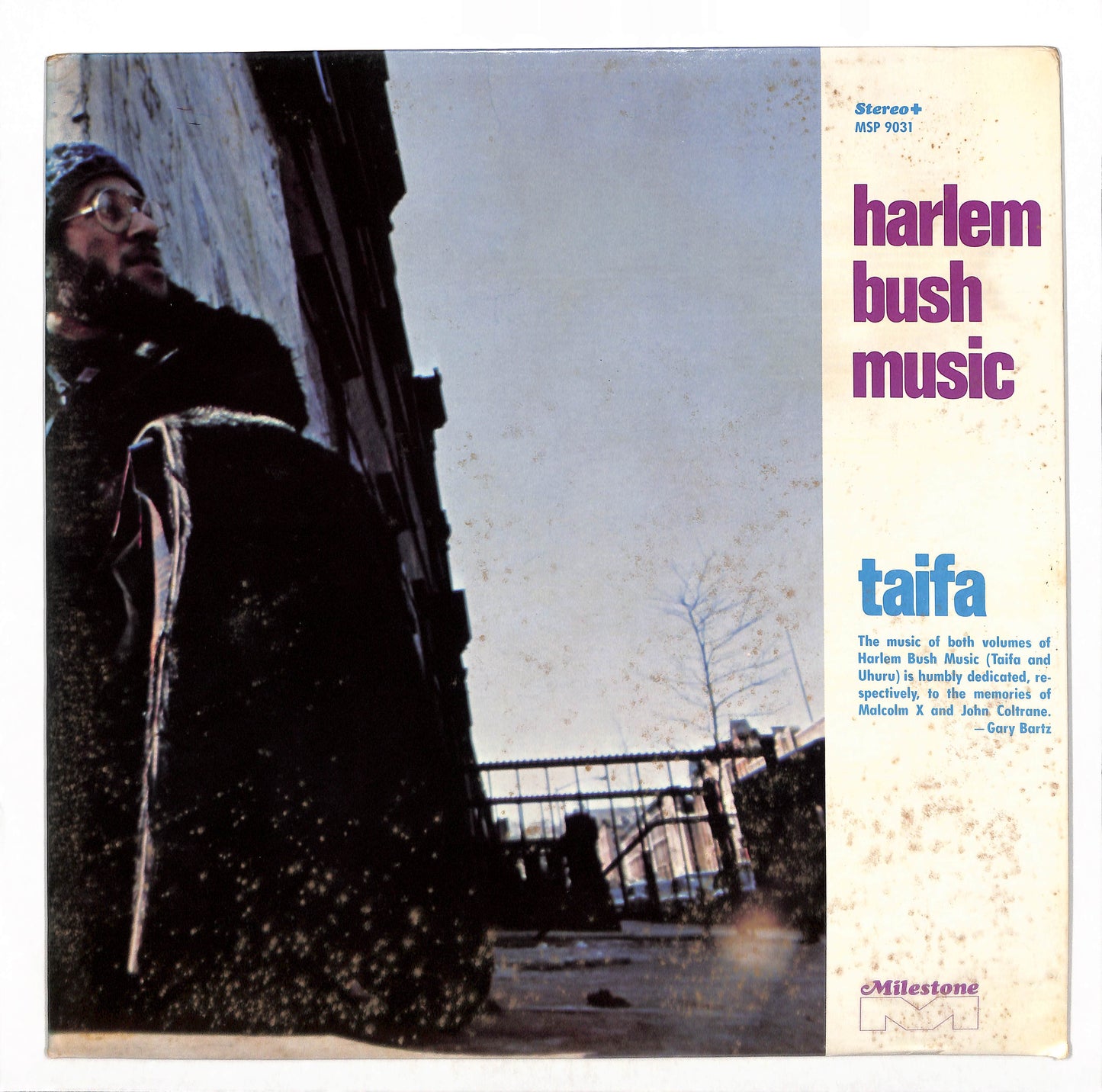 Harlem Bush Music - Taifa