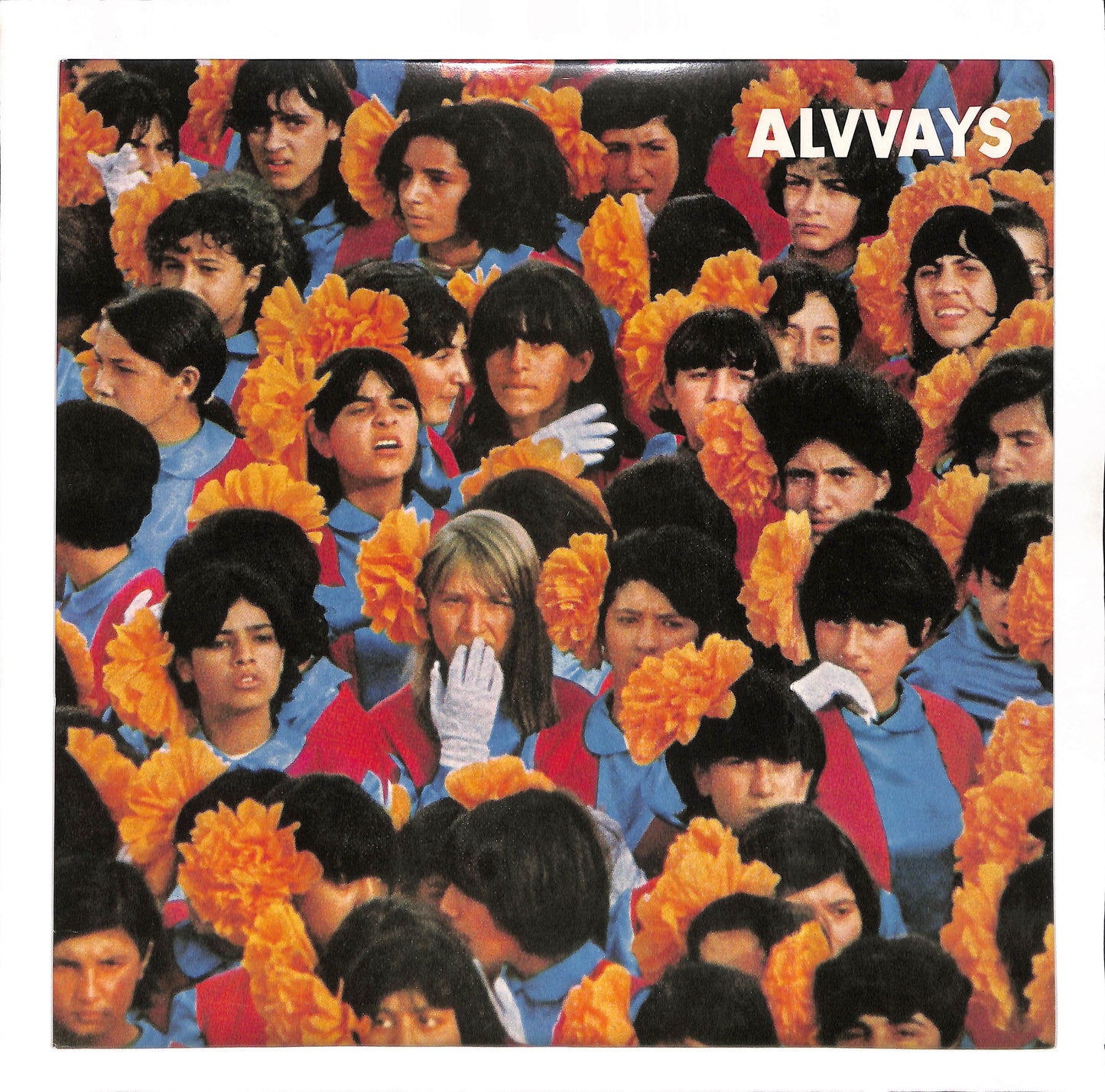 Alvvays