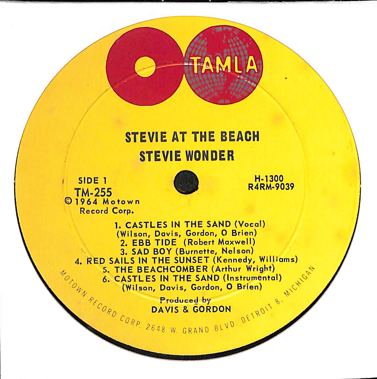 Stevie At The Beach