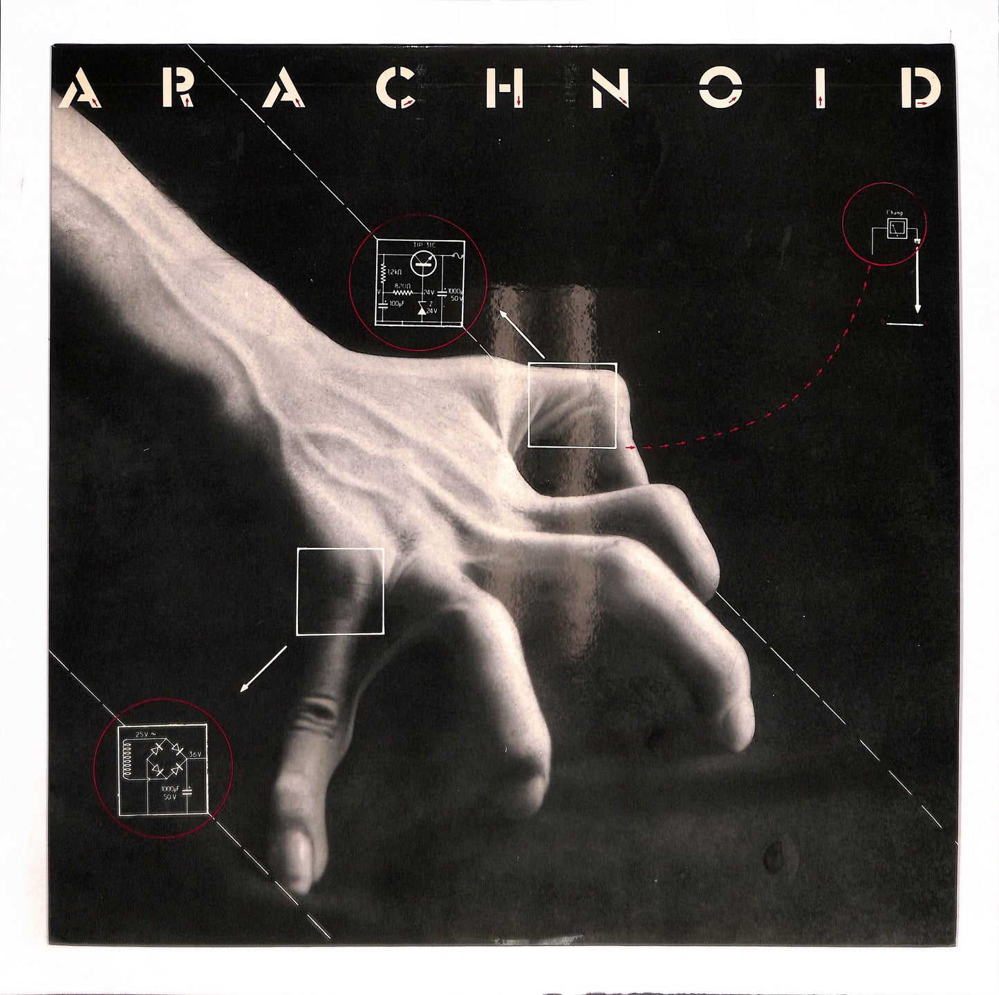 Arachnoid