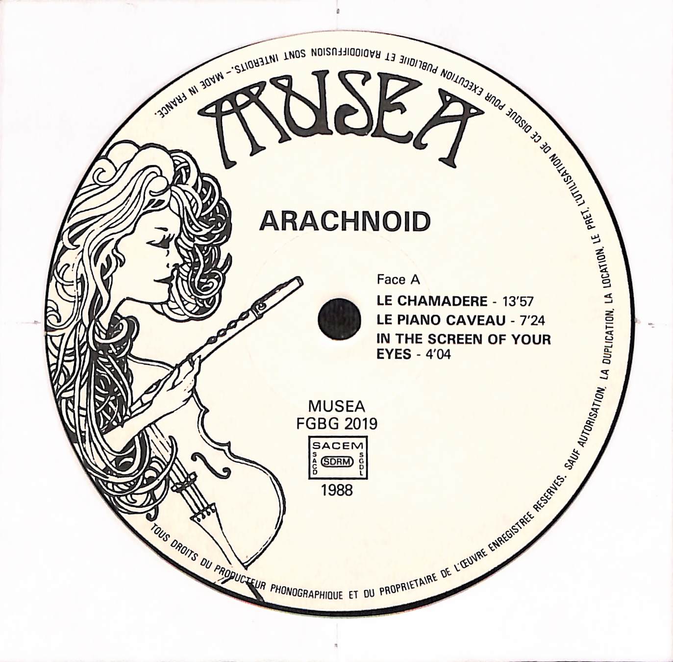 Arachnoid