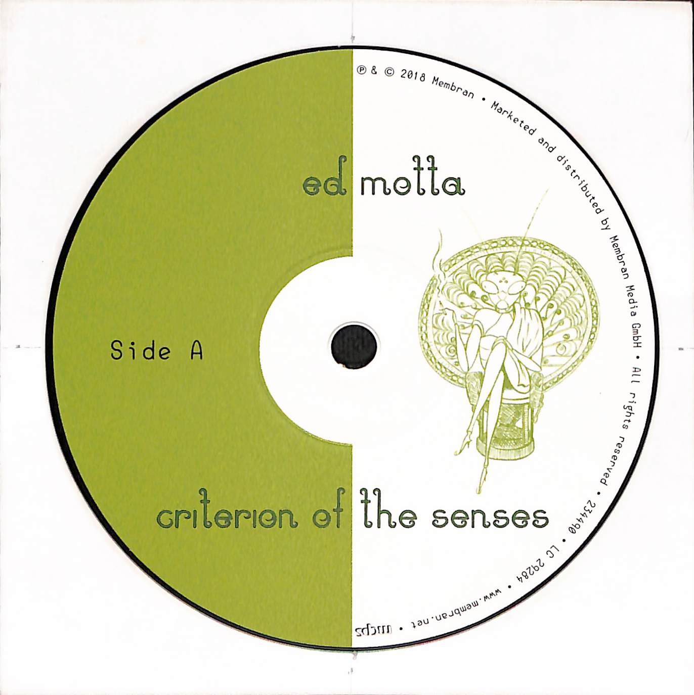 Criterion Of The Senses