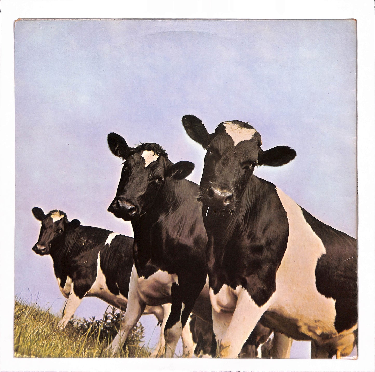 Atom Heart Mother