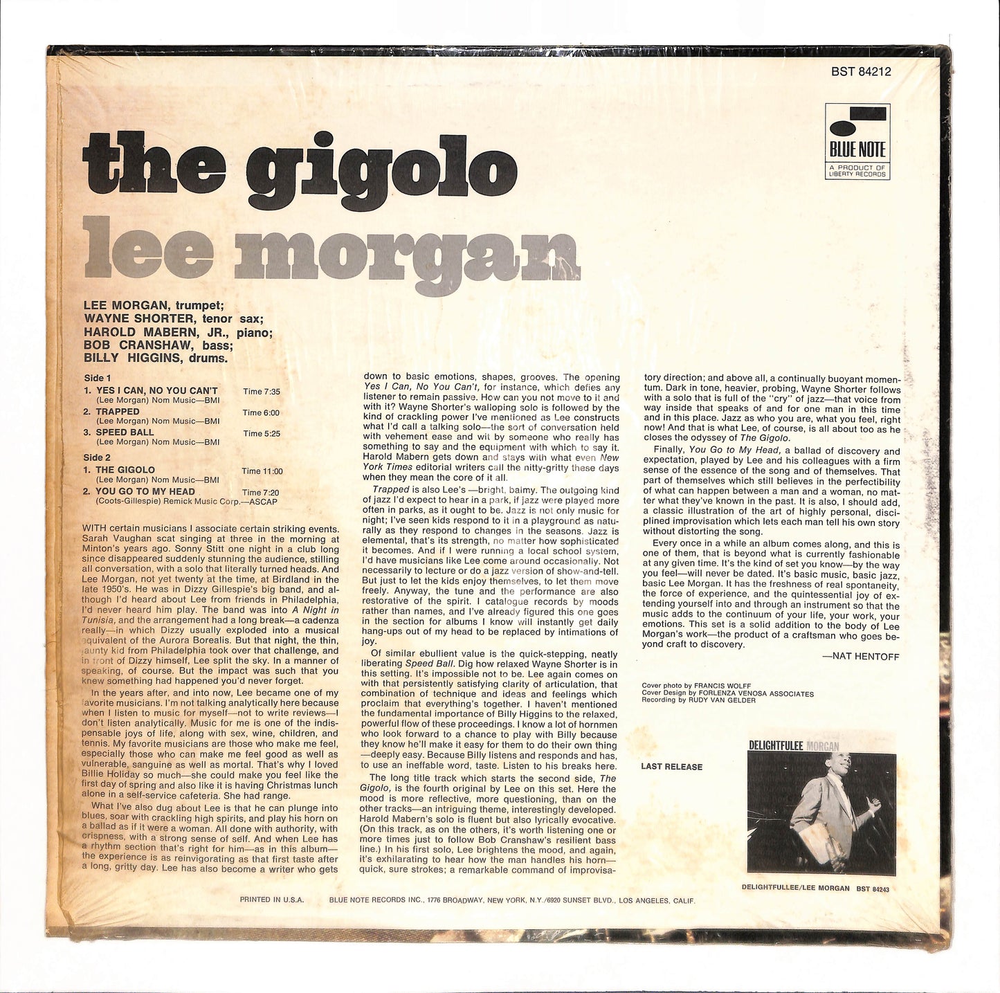 The Gigolo