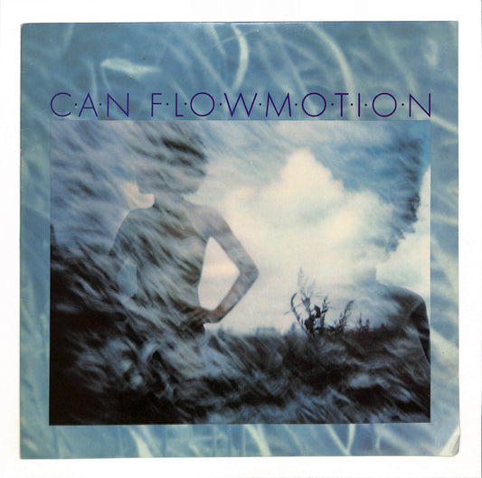 Flow Motion