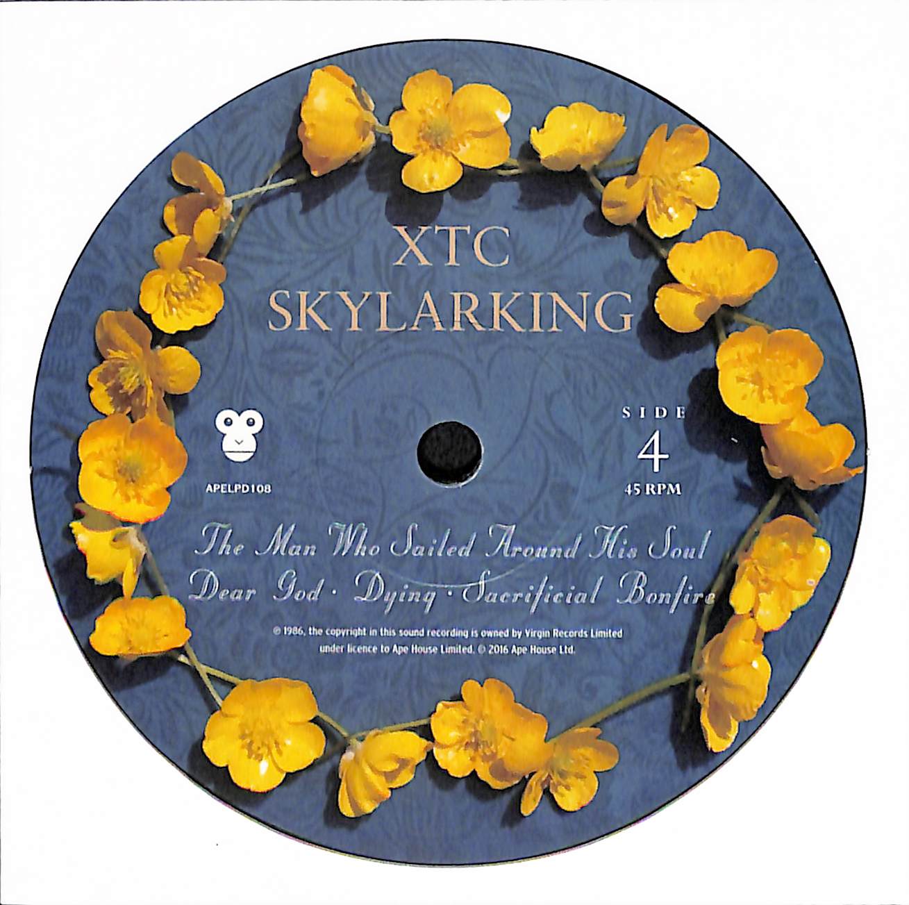 Skylarking