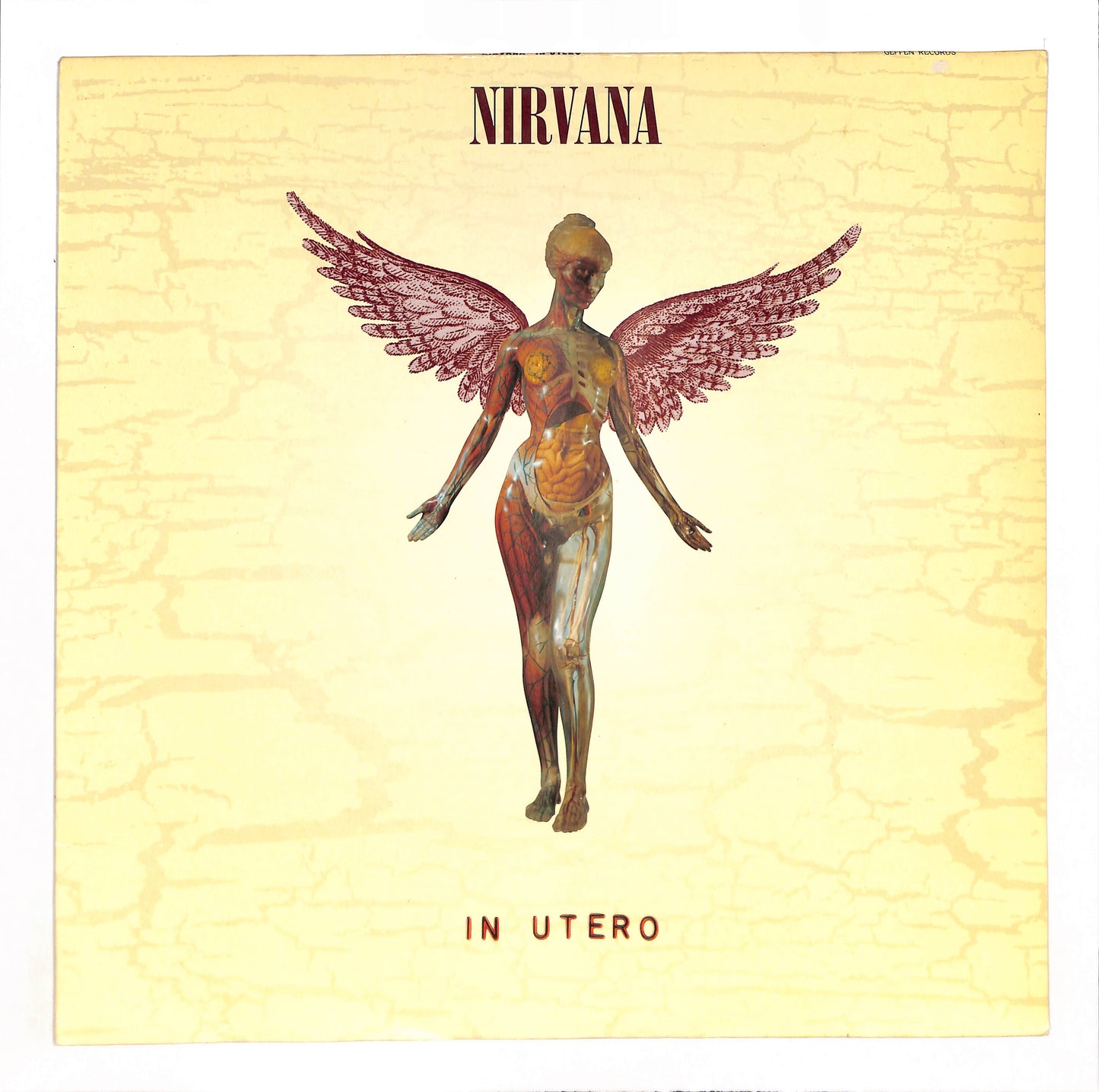 In Utero