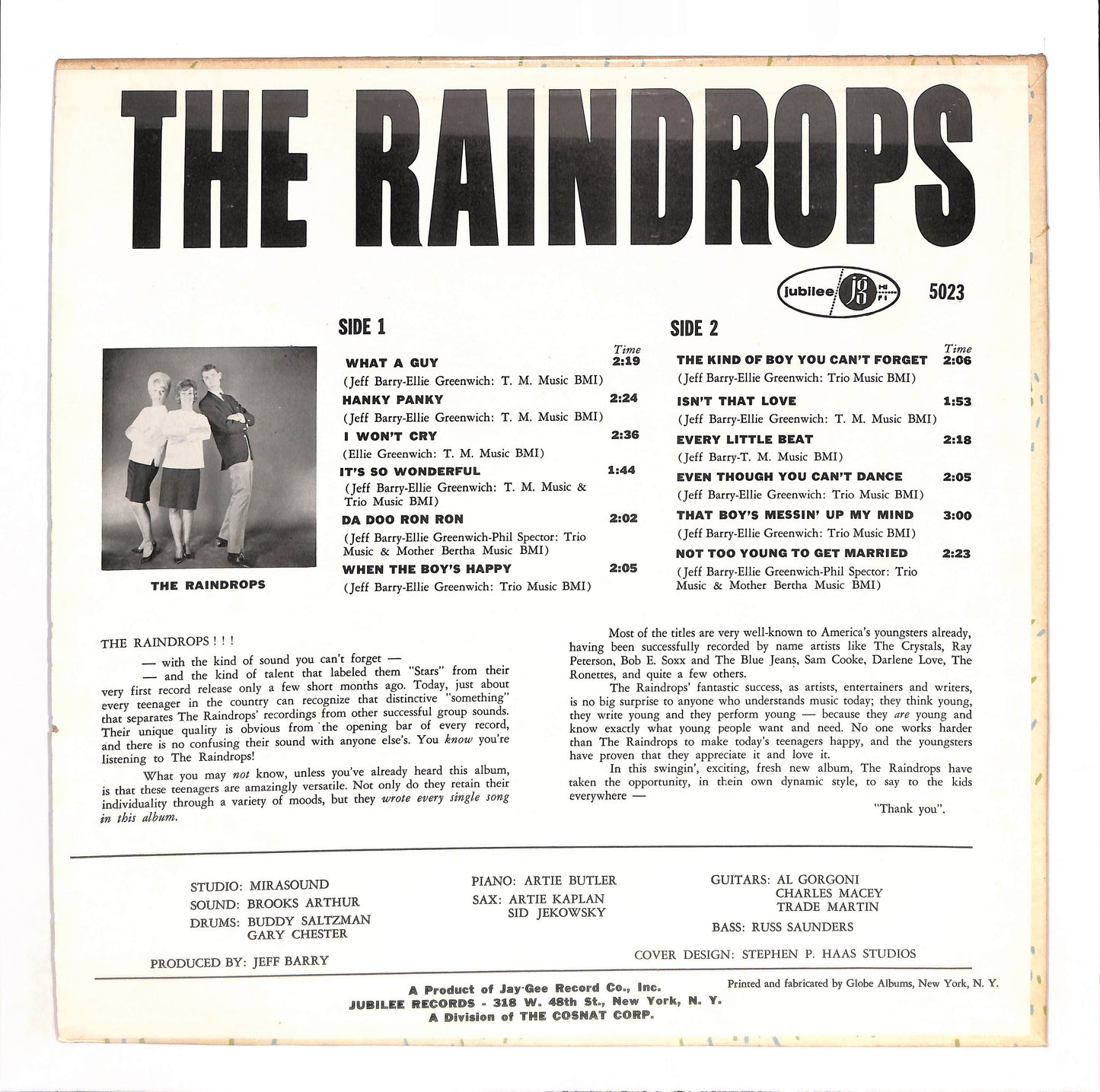 The Raindrops