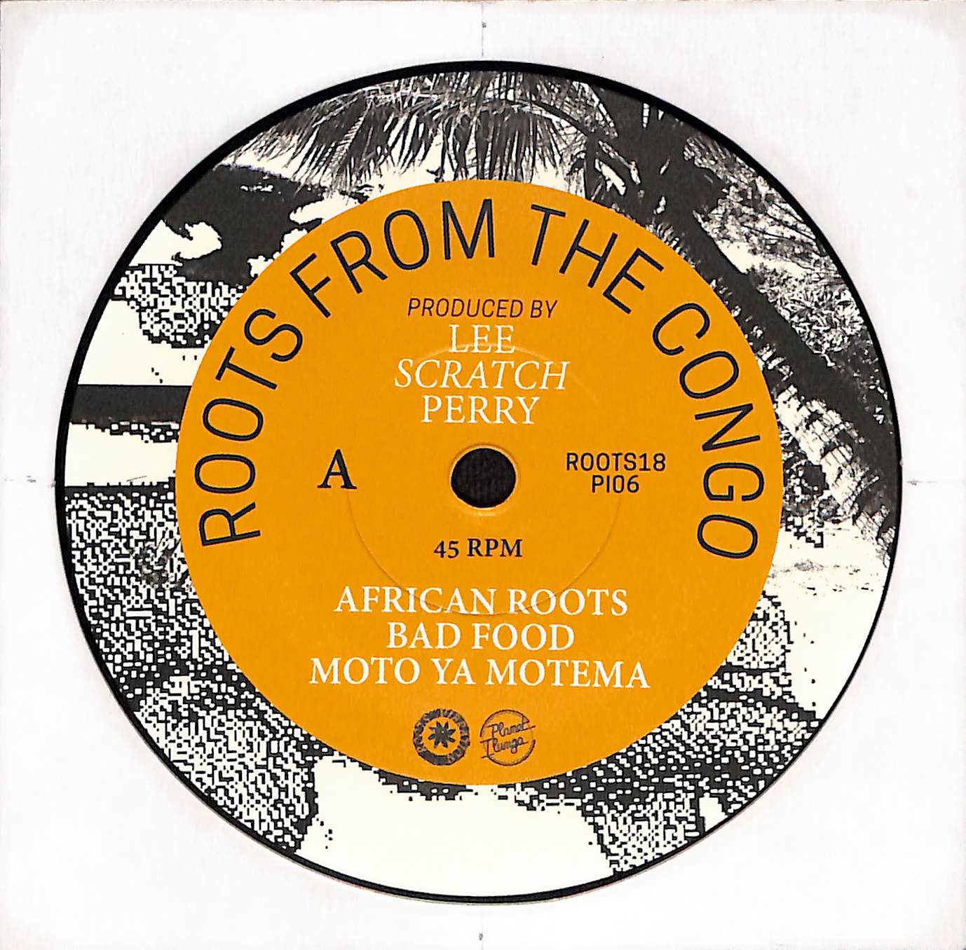 Roots From The Congo