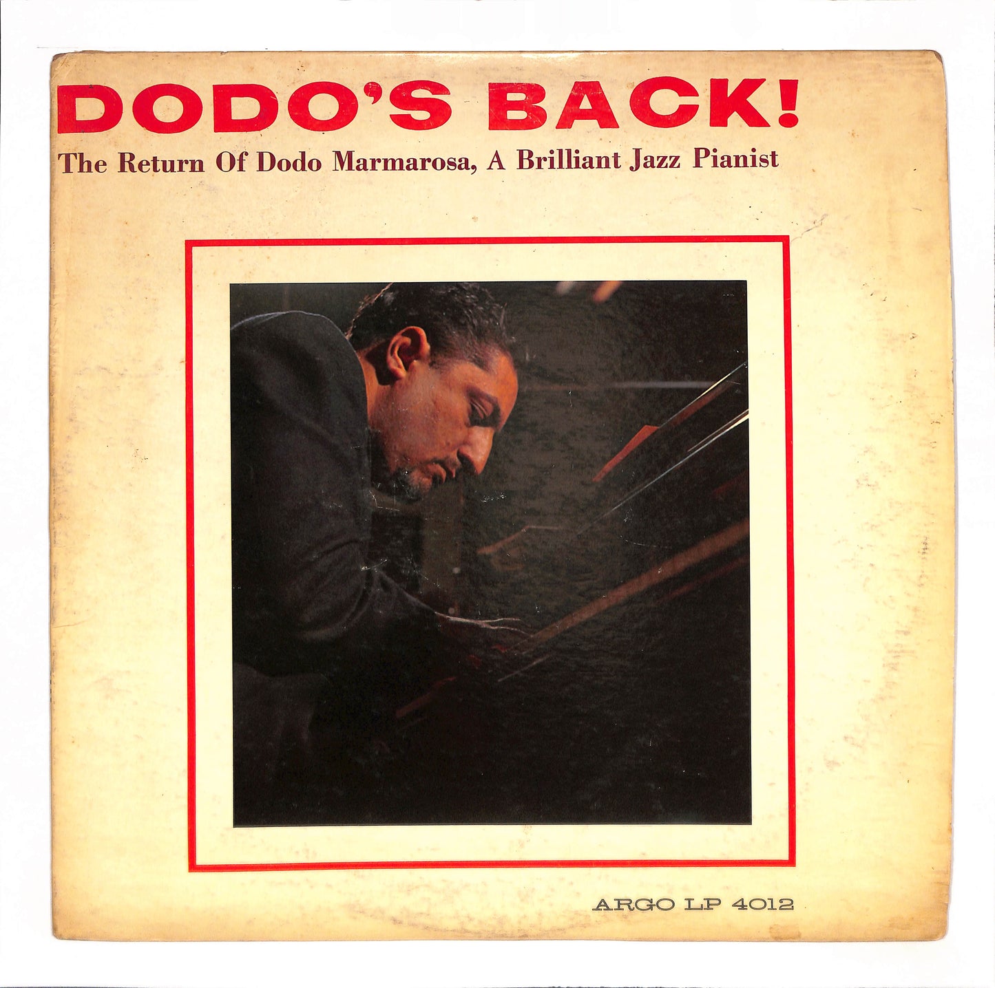 Dodo's Back