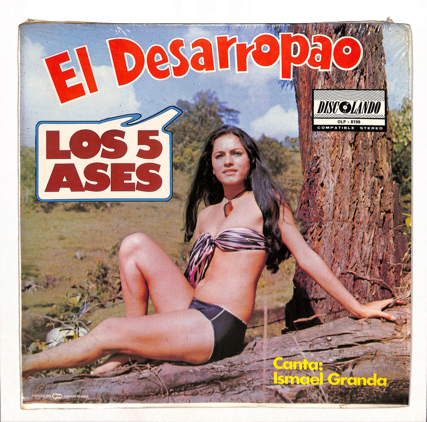 El Desarropao