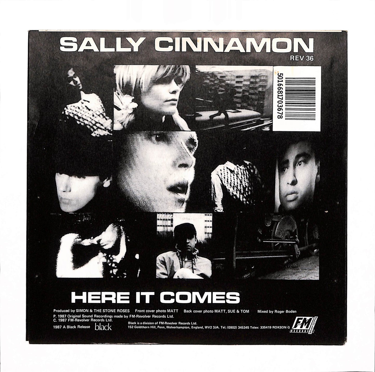 Sally Cinnamon