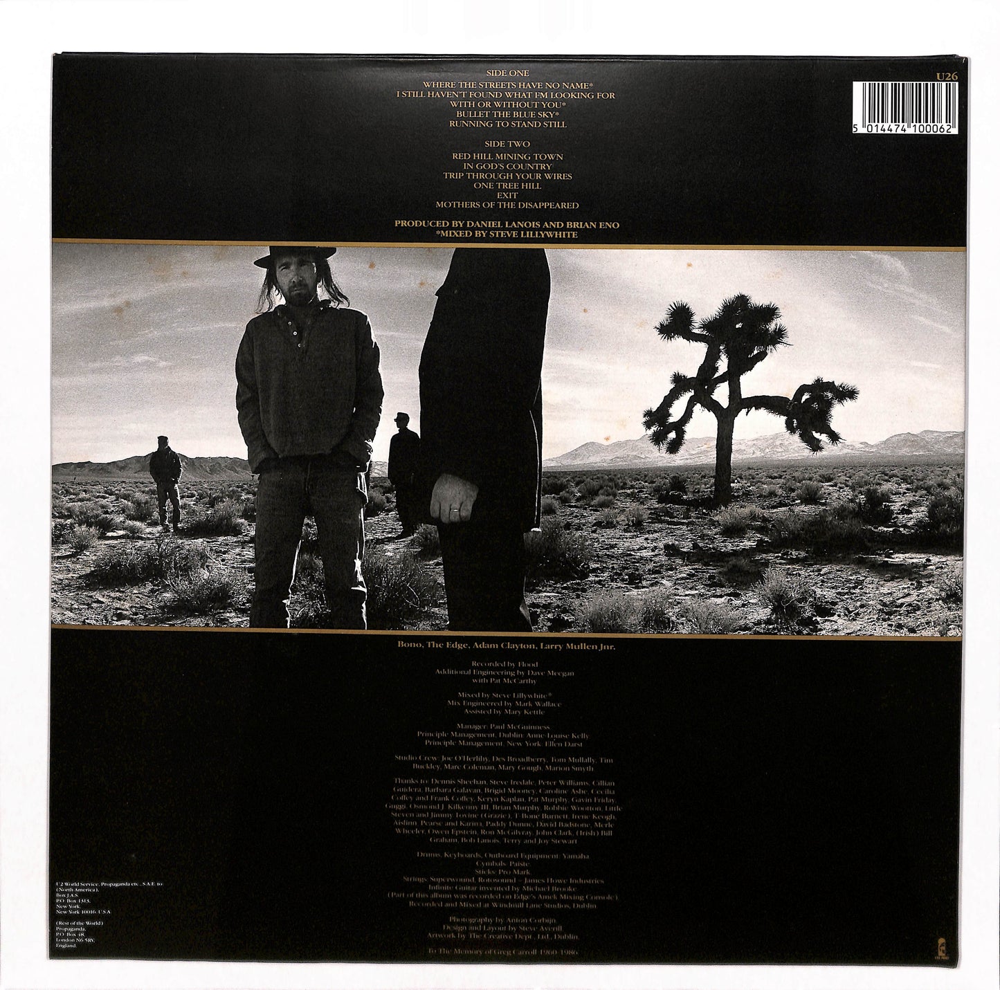 The Joshua Tree Collection