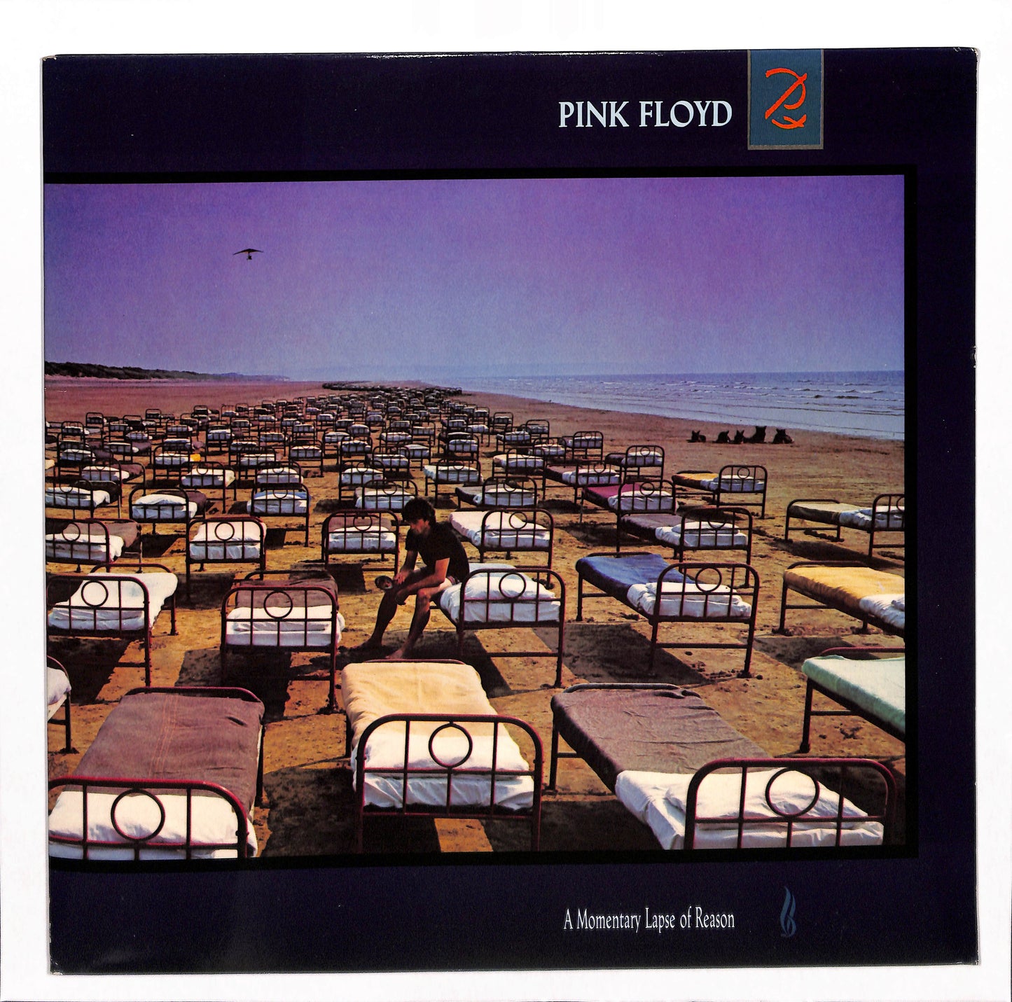 A Momentary Lapse Of Reason