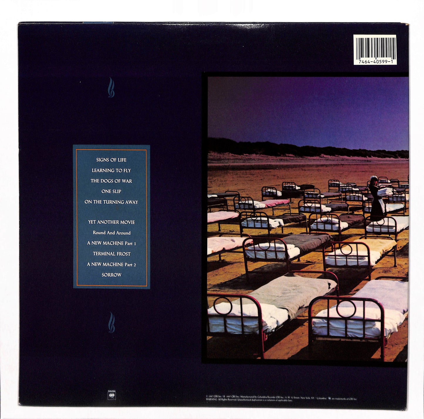 A Momentary Lapse Of Reason